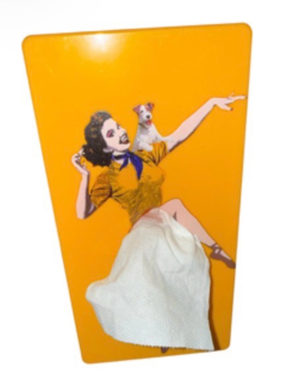 Vintage Flying Skirt Pin Up Girl with Dog Retro Tissue Box
